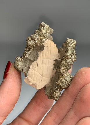Unusual ! Pyrite on Rock Matrix Specimen