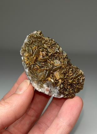 New Arrival ! Pyrite over Barite and Calcite