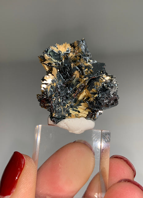 New Arrival !  Rutile with Shiny Hematite - From Brazil