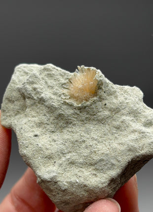 Bursting Sun Aragonite in Cluster - From Pantoja, Spain