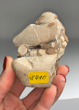 Old Galena Specimen from Teufelsgrund mine, Germany PM041