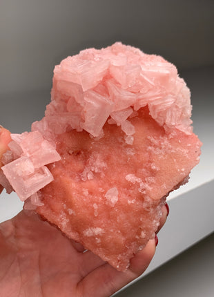 High Grade Pink Halite from Searles Lake, California
