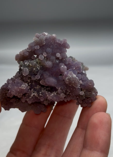 Grape Agate Specimen - From Sulawesi, Indonesia