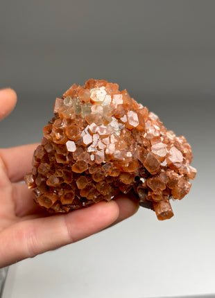 4 Piece Lot ! Aragonite Disco Ball Specimens
