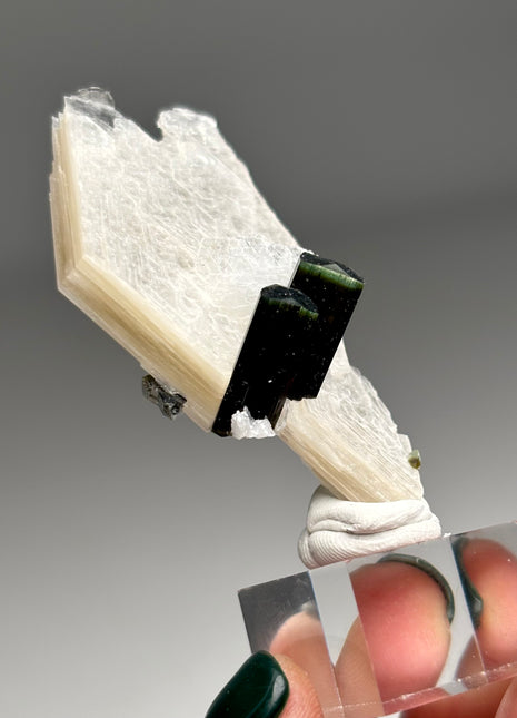 Green Cap Tourmaline with Cleavelandite