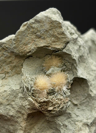 Bursting Sun Aragonite in Cluster - From Pantoja, Spain