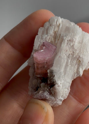 Pink Tourmaline with Albite PM1481
