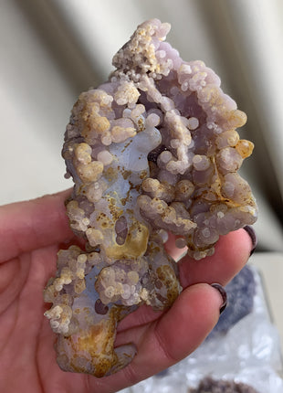 Grape Agate Lot - From Sulawesi, Indonesia - 6 Pieces !