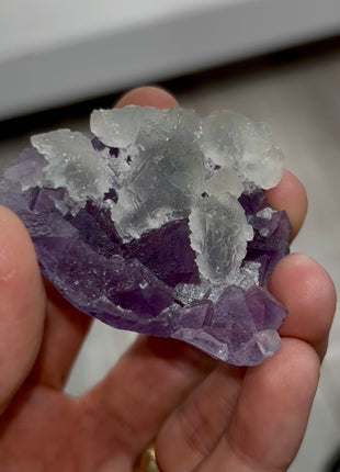 Blue Fluorite on Purple Fluorite PM0356