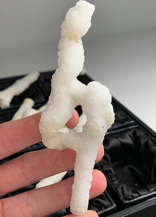 New ! White Coral Chalcedony Stalactite Lot - 6 pieces !