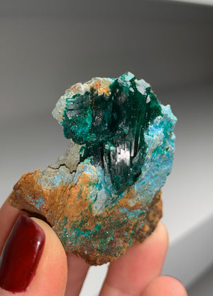 Green Dioptase with Blue Shattuckite