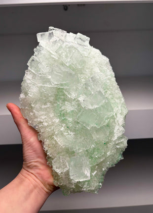 Finest ! Cubic Green Halite - From Lubin mine, Poland