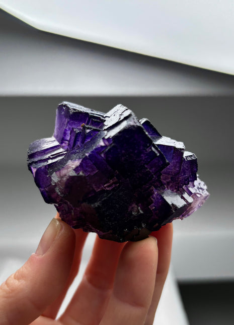 Purple Fluorite from Muzquiz, Mexico
