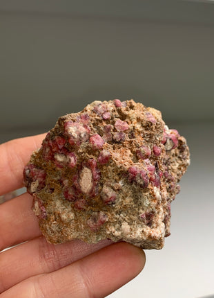 Raspberry Grossular Garnet Specimens Lot ! 8 Pieces