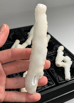 New ! White Coral Chalcedony Stalactite Lot - 6 pieces !