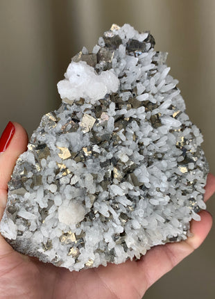 Quartz with Arsenopyrite - Trepca mine