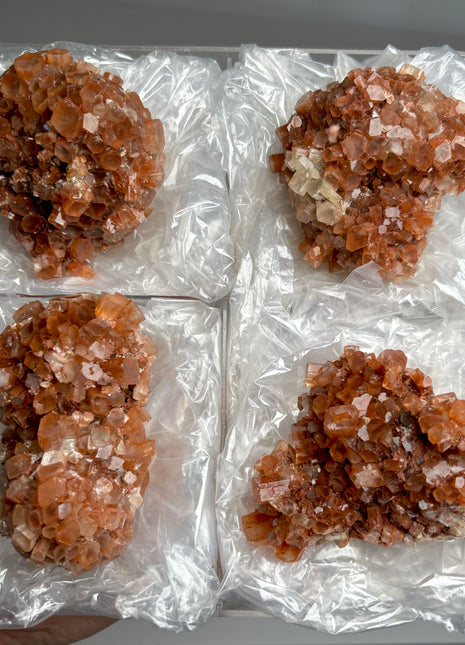 4 Piece Lot ! Aragonite Disco Ball Specimens