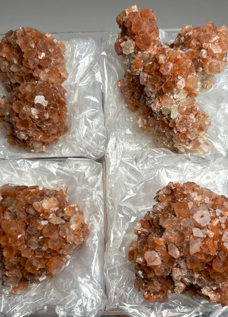 4 Piece Lot ! Aragonite Disco Ball Specimens