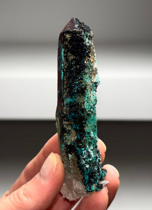 Blue Chrysocolla with Quartz