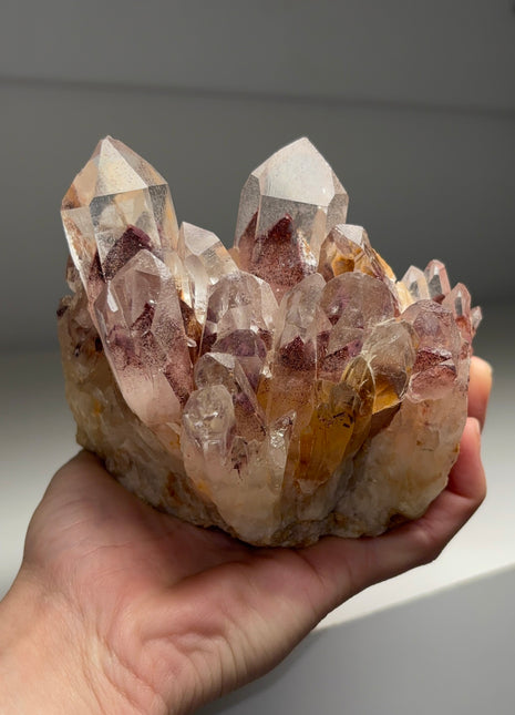 Incredible ! Sunset Quartz with Red Phantoms