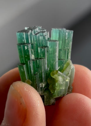 Blue Green Tourmaline Bunch PM1340