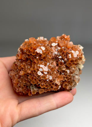 4 Piece Lot ! Aragonite Disco Ball Specimens