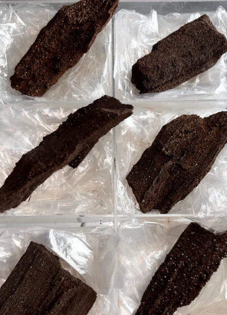 6 Piece Lot ! Rare Permineralized Fossil Wood with Quartz - From Germany