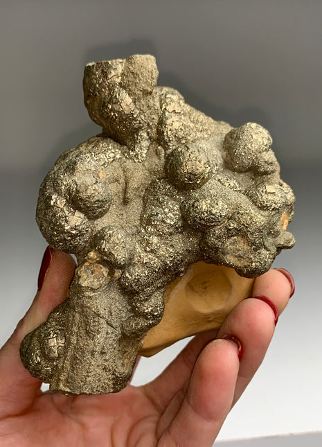 Unusual ! Pyrite on Rock Matrix Specimen