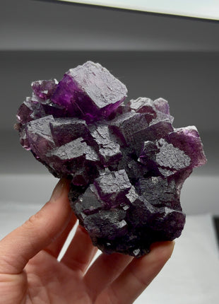 Fluorite from Minerva mine Collection # 431