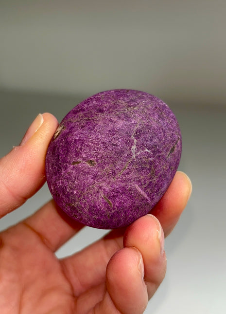 Velvet Purpurite