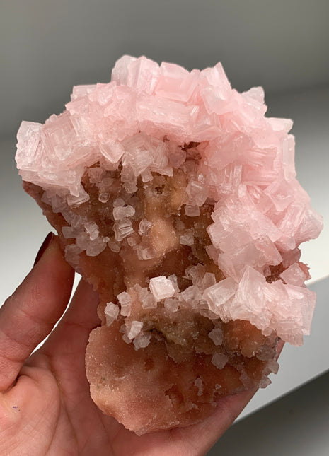Pink Halite with Great Crystallization - from Searles Lake, California