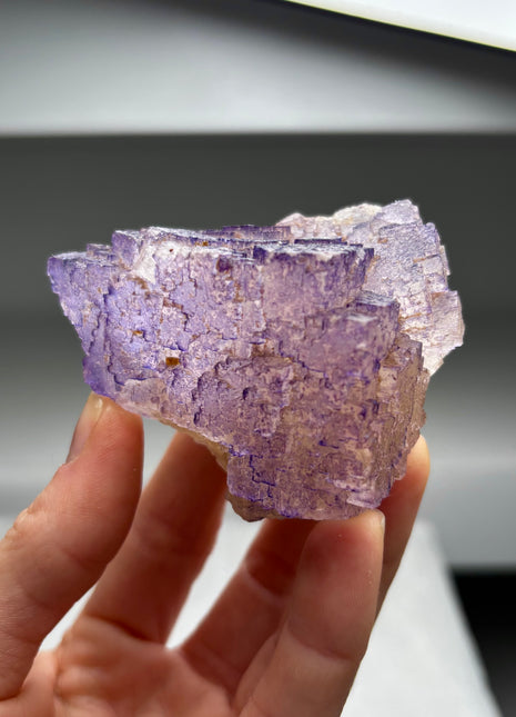 Purple Fluorite from Muzquiz, Mexico
