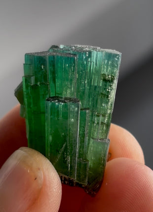 Blue Green Tourmaline Bunch PM1341