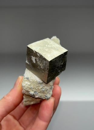 New ! Cubic Pyrite on Matrix from Navajun, Spain