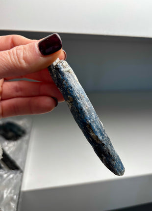 XL Size Blue Kyanite with Mica - From Zambia - 12 Pieces