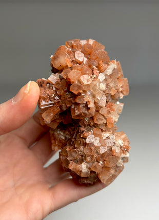 4 Piece Lot ! Aragonite Disco Ball Specimens