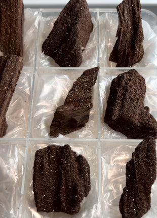 9 Piece Lot ! Rare Permineralized Fossil Wood with Quartz - From Germany