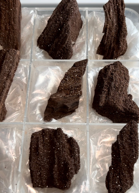 9 Piece Lot ! Rare Permineralized Fossil Wood with Quartz - From Germany