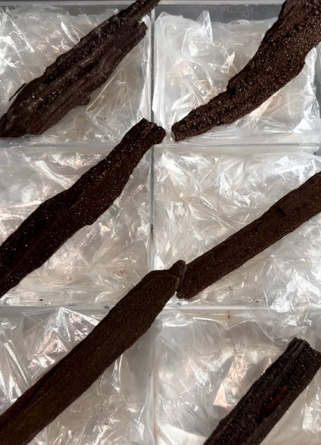 6 Piece Lot ! Rare Permineralized Fossil Wood with Quartz - From Germany