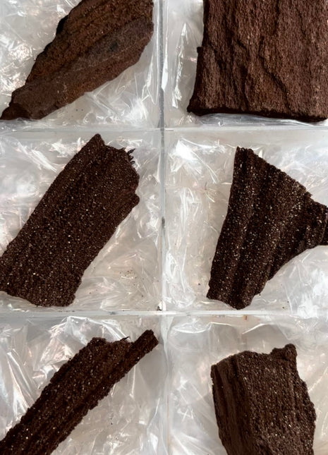 6 Piece Lot ! Rare Permineralized Fossil Wood with Quartz - From Germany