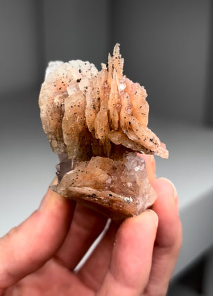 New find ! Pink Barite with Cumberland habit Quartz