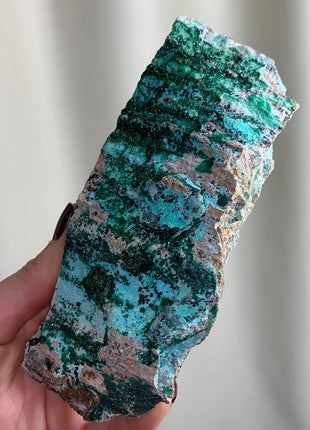 Druzy Chrysocolla with Green Malachite  - From DRC