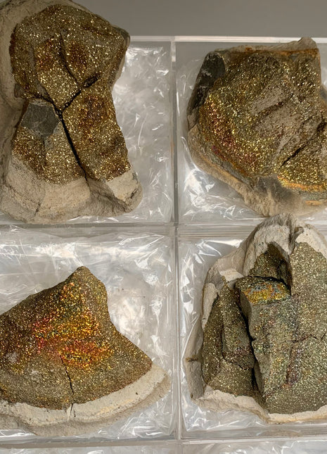Rainbow Chalcopyrite Lot - 4 Pieces 🌈