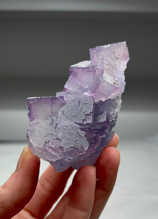 Blue Purple Fluorite from Denton mine Collection # 426