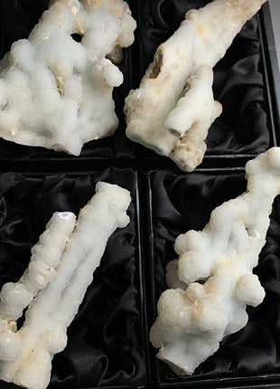 New ! White Coral Chalcedony Stalactite Lot - 4 pieces !