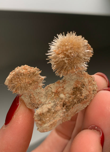 Bursting Sun Aragonite in Cluster - From Pantoja, Spain