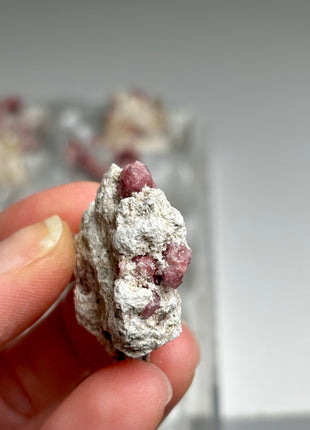 18 Pieces ! Raspberry Grossular Garnet Specimens Lot !