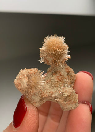 Bursting Sun Aragonite in Cluster - From Pantoja, Spain