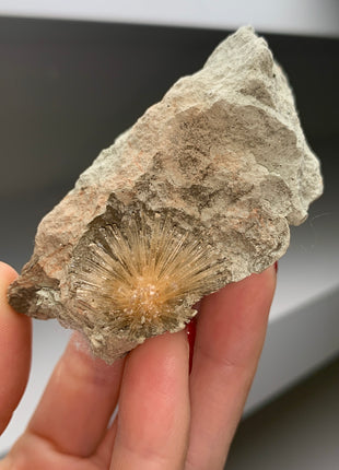 New ! Bursting Sun Aragonite Ball in Cluster - From Pantoja, Spain