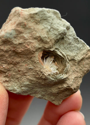 Bursting Sun Aragonite in Cluster - From Pantoja, Spain